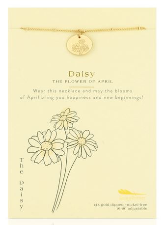A 14k gold-dipped necklace, featuring the LuckyFeather Birth Flower April Daisy pendant, is beautifully displayed on a card adorned with a daisy illustration. The card explains the daisy as the birth flower for April, symbolizing happiness and new beginnings.